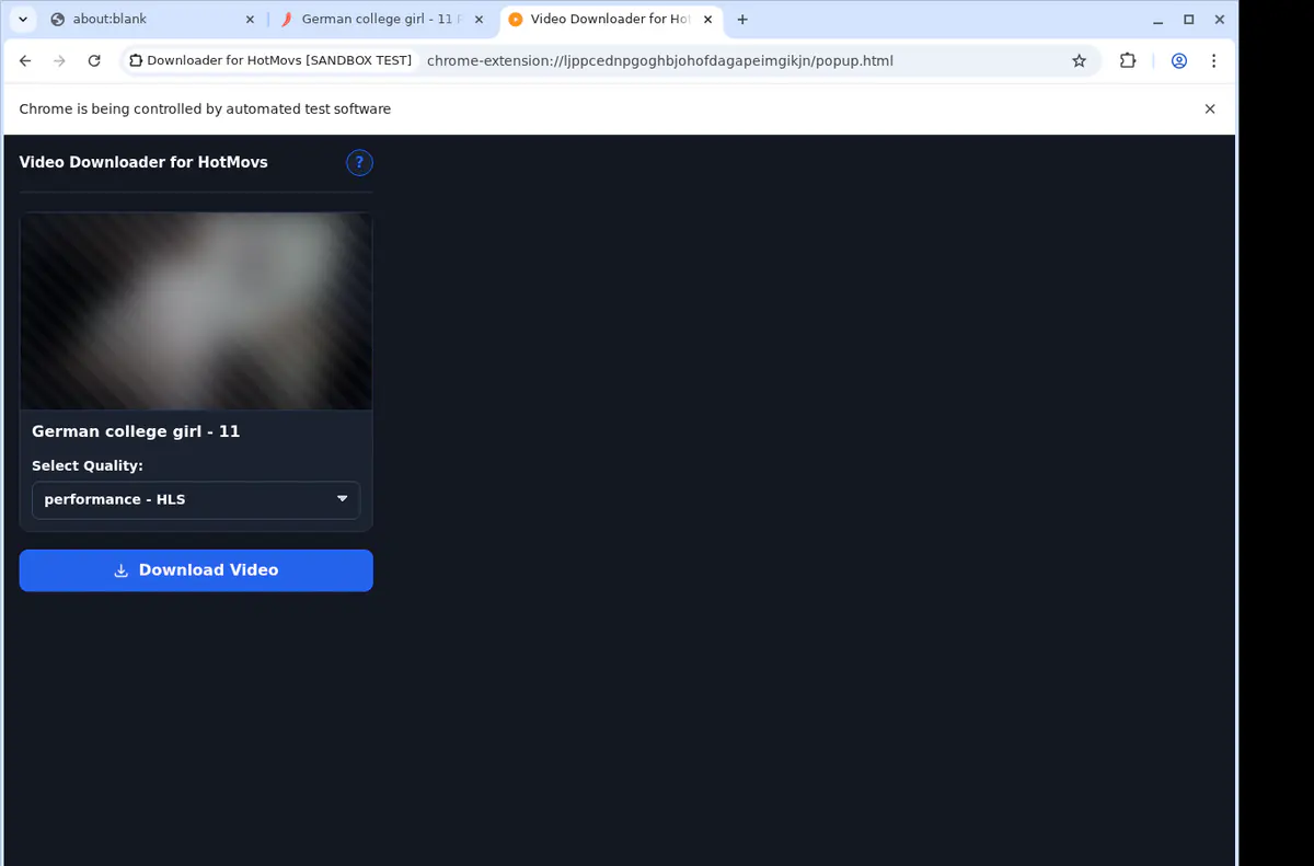HotMovs Video Downloader screenshot 3
